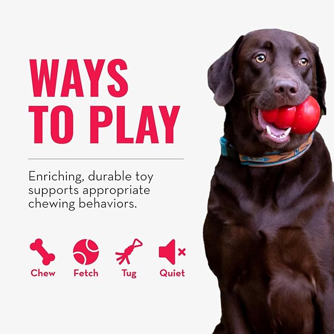 KONG Extreme Ring - Durable Natural Rubber Ring Toy for Healthy Chewing Habits - Chew Toy Supports Dog Dental Health - Dog Toy Supports Instincts During Playtime - for XL Dogs