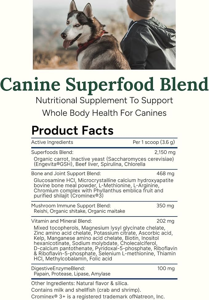 360 Pet Nutrition Canine Superfood Boost – All Life Stage Dog Meal Topper & Supplement, Supports Joint, Digestive & Immune Health, 30 Servings, Beef Flavor