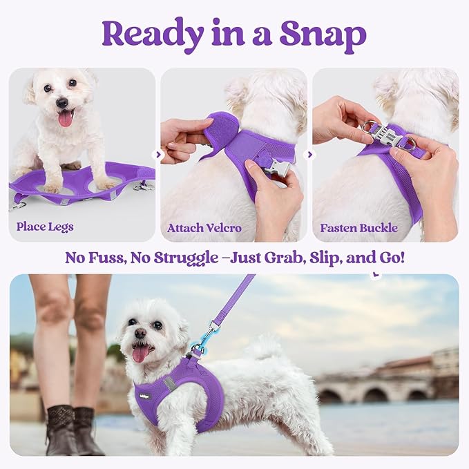 rabbitgoo Dog Harness Small Sized and Leash Set, Step in Soft Light Puppy Vest, Breathable Mesh Pet Harness, Reflective for Outdoor Safe Walking, Purple XL
