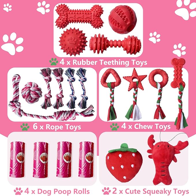 20 Pack Dog Chew Toys for Puppy, Small Dog Toys with Ropes, Treat Ball and Squeaky Plush Toys for Puppy Teething, Rubber Chew Toys