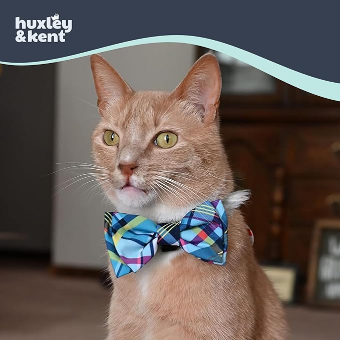 Huxley & Kent Pet Bow Tie for Dogs & Cats - Adjustable Hook & Loop Collar Accessory - Cute & Comfortable for Holidays & Celebrations - Blue Madras, Large