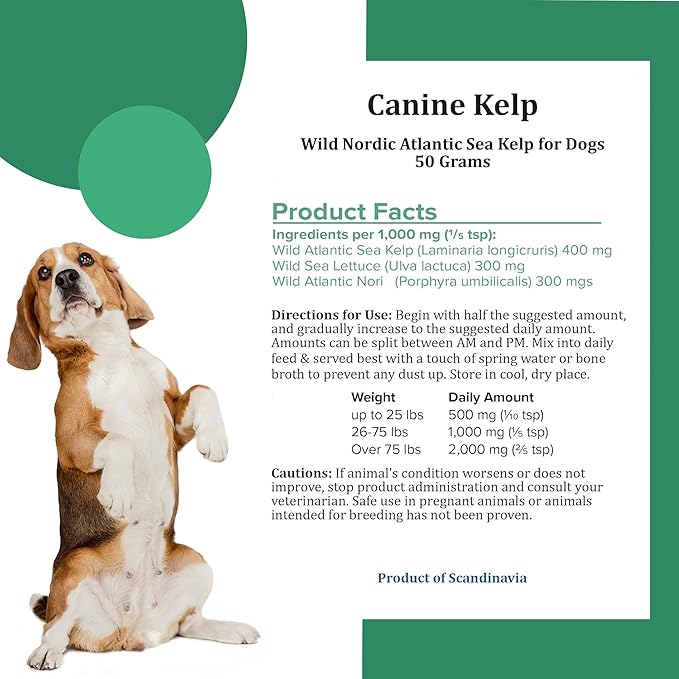 Holistic Bin Canine Atlantic Sea Kelp Dog Food Toppers | Supplement Powder with Iodine and Minerals | Pet Essentials | For Shiny Coat and Skin Wellness | Gut Flora & Oral Freshness | Canine Kelp (50g)