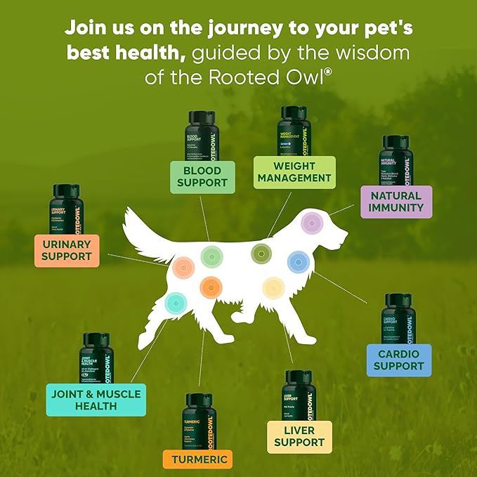Rooted Owl Urinary Support - Echinacea and Cranberry Supplement for Dogs - Dog UTI Prevention - 60/ct