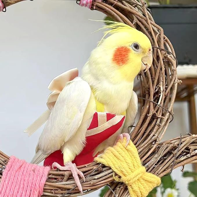 Bird Flight Suits Diapers, Parrot Flight Suits Diapers for Quaker Parakeets Cockatiels Conures Macaw African Grey, Bird Diaper, Parrot Clothes (Green C,XS)
