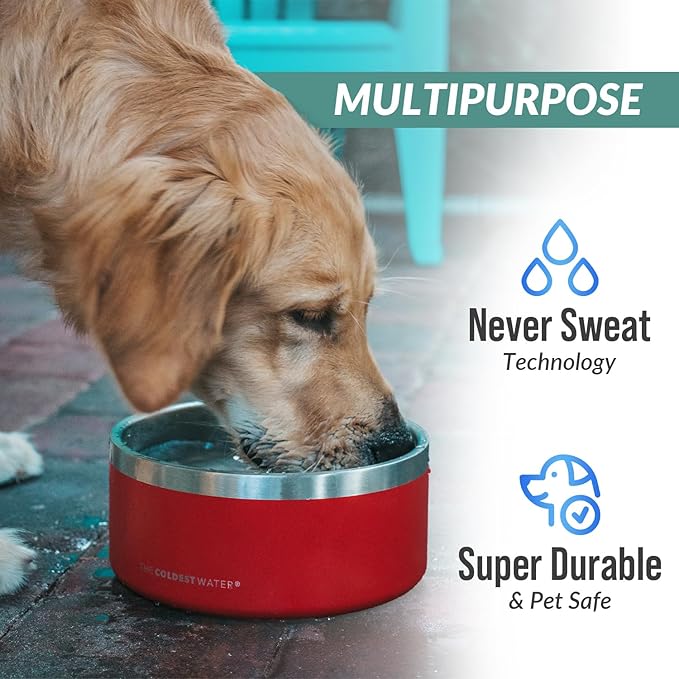 Coldest Dog Bowl - Anti Rust Metal, Non Slip, 3 Layers Insulated Stainless Steel Dog Bowls - Spill Proof & Heavy Duty - Water Bowl for Dogs, Cats & Pets, Dish Washer Safe (42 oz, Epic White)