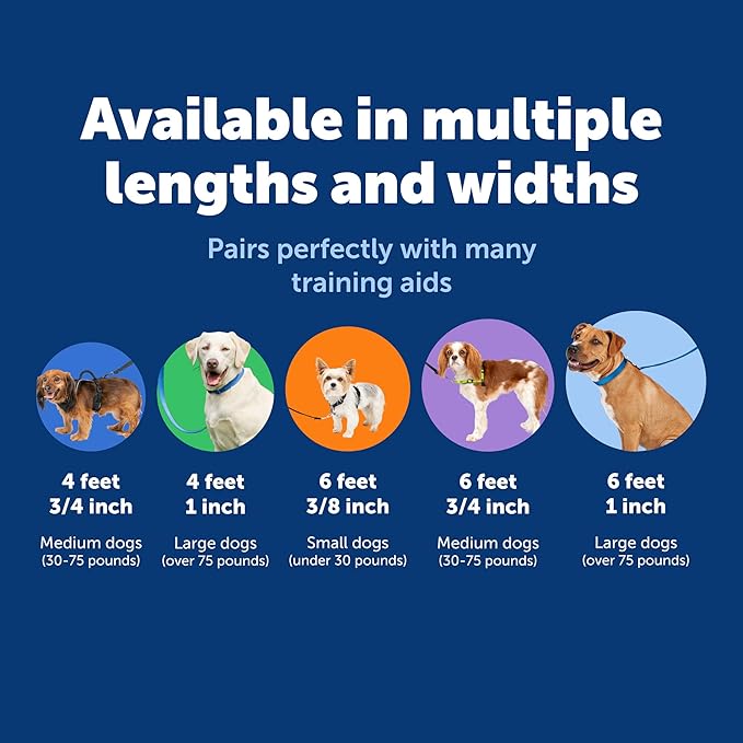 PetSafe Nylon Leash - Strong Nylon for Everyday Walks - Durable Pet Leash with Quick Attach Clip - Comfortable Soft Grip - 6 Feet - Royal Blue