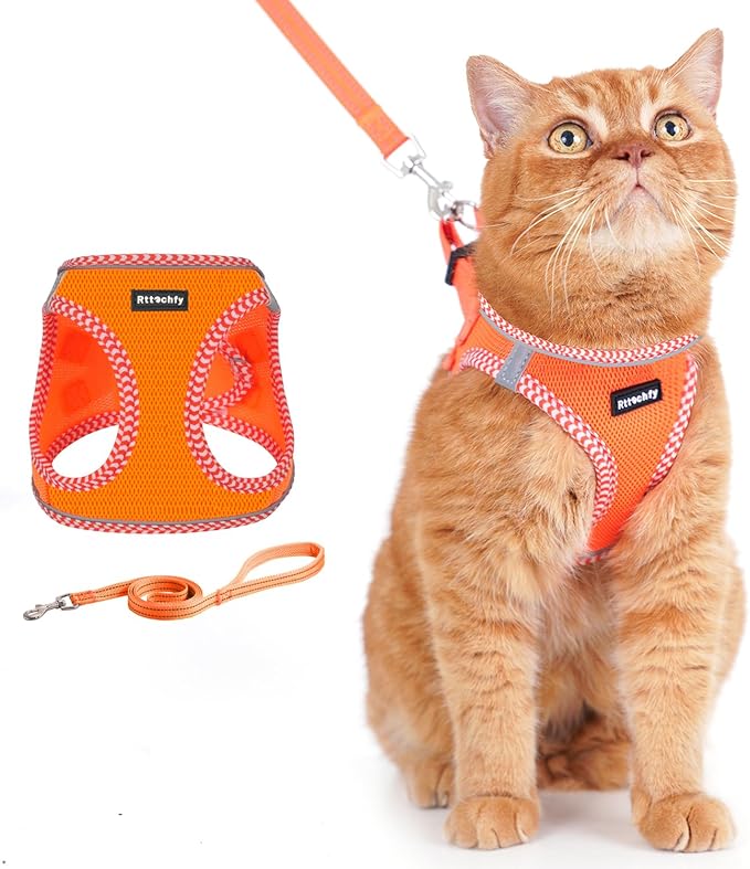 Rttochfy Cat Harness and Leash Set, Escape Proof Kitten Harness, Soft and Breathable Vest with Reflective Strip, Easy to Wear for Cats Walking and Traveling (Orange, M)