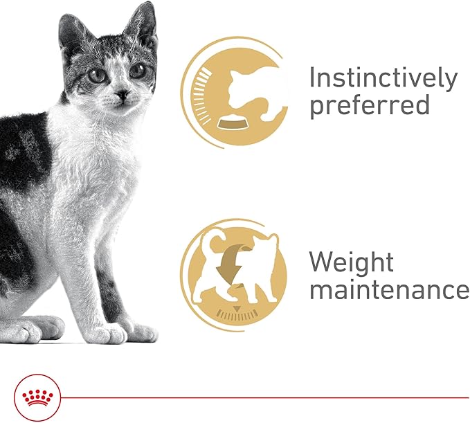 Royal Canin Feline Health Nutrition Adult Instinctive Adult Thin Slices in Gravy Cat Food, 3 oz (Pack of 18)