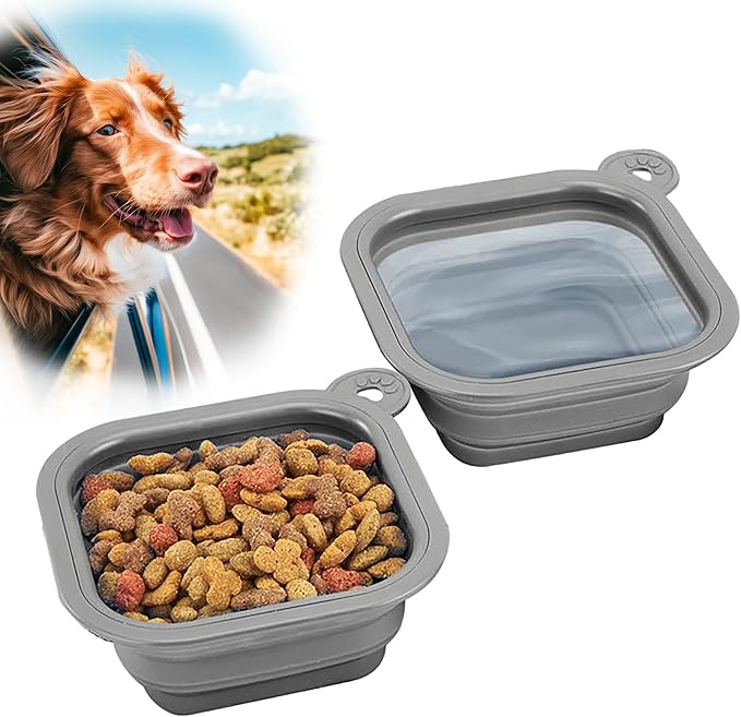 Mobile Dog Gear Small Collapsible Dog Water Bowls for Travel (Set of 2, 2 Cups Each) - Portable Foldable Bowl for Feeding Pets, Cats & Dogs - Easy to Clean Silicone Dish, Great for Camping & Traveling