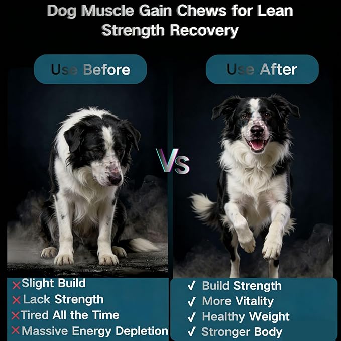 Muscle Gain Chews Dog Weight Gainer Supplements with High Protein & Canine Amino Acids Puppy Vitamins Canine Muscle Builder Formula for Bully & All Breeds Puppies & Adult & Senior Dogs-100 Count