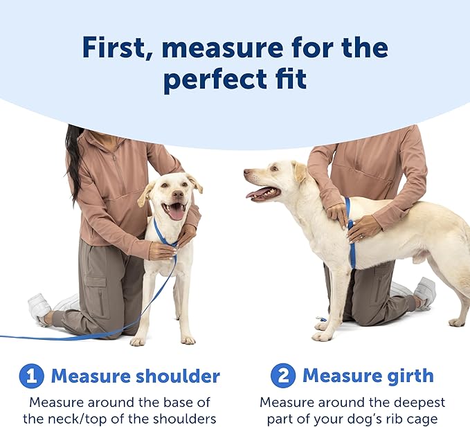 PetSafe Easy Walk Comfort No-Pull Dog Harness - Better Walk Training Harness - Full Body Padded Design - Durable Fabric - 5 Point Adjustable Fit - Everyday Leash Training - Pink - Medium/Large