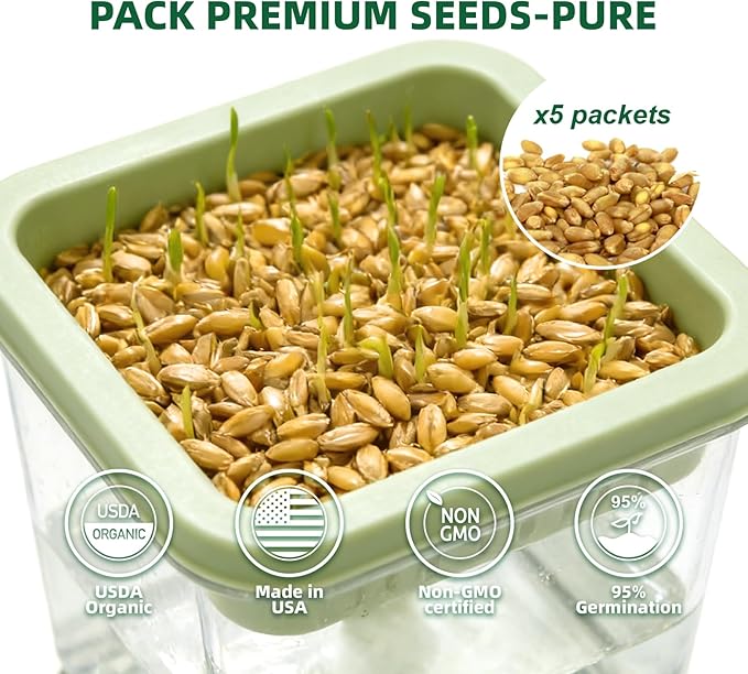 Hydroponic Cat Grass Kit with 5 Pack Non GMO Seeds & Scissors - Cat Grass for Indoor Cats, Helps Cat with Hairballs & Digestion, Easy 3-Step Setup,Gifts for Cat Lovers (Food-Safe PP&AS, 7-Day Growth)