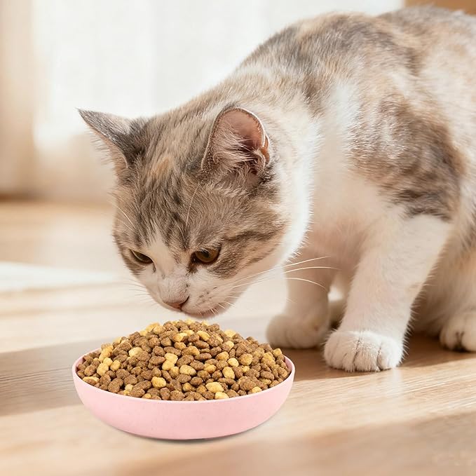 [8 Pack] Cat Dishes Whisker Friendly, Shallow Wide Pet Food and Water Bowl, 5.5 Inch Cat Food Dish, Friendly Wet Feeding Bowl, Durable Wheat Straw Pet Bowls, Pet Plate for Kittens (Indoor/Outdoor)