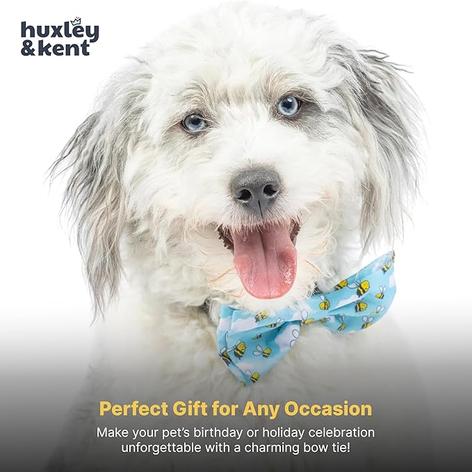Huxley & Kent Pet Bow Tie for Dogs & Cats - Spring Theme Adjustable Hook & Loop Collar Accessory - Cute & Comfortable for Holidays & Celebrations - Busy Bees, Small