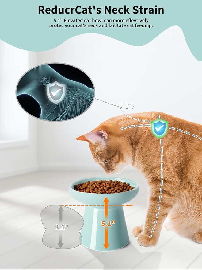LoeJan Elevated Cat Food and Water Bowls Set, Extra Wide and Raised Ceramic Feeder, Anti-Vomit Whisker-Free Pressure Feeding Bowl for Kittens Adult Small Dogs (Blue, Food Bowl)