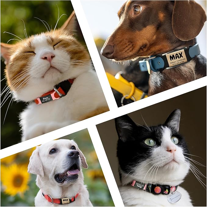 Slide-On Silent Dog Tags Engraved for Pets Personalized - Custom Silicone Stainless Steel ID Name Tags for Cats and Dogs - Soundless Quiet Badge for Collar - Kitten and Puppy Essentials (X-Small)