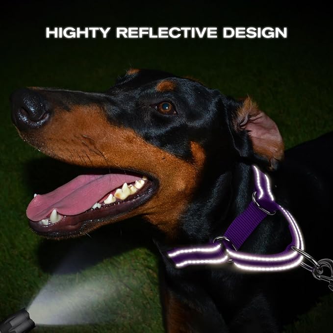 Joytale Martingale Collar for Dogs, Reflective Heavy Duty for Safety, Quick Release Buckle, Adjustable Nylon Collars for Large Dogs Walking Training, Purple,L