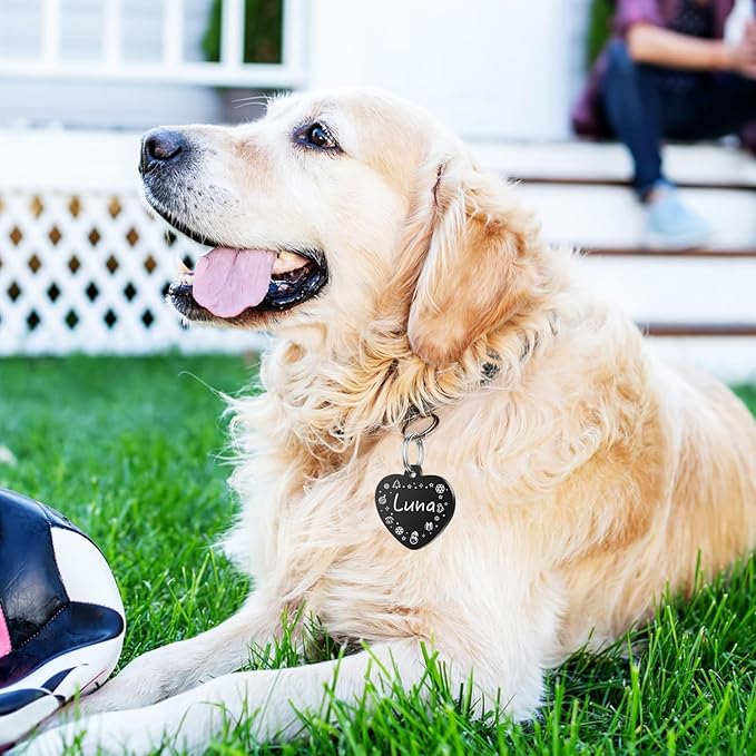 Personalized Dog Tags, Stainless Steel Pet Tags Personalized Cat, Collar Charm Engraved on Both Sides, up to 4 Lines of Custom Text, Multiple Patterns Colors Size Options (Christmas, Large)