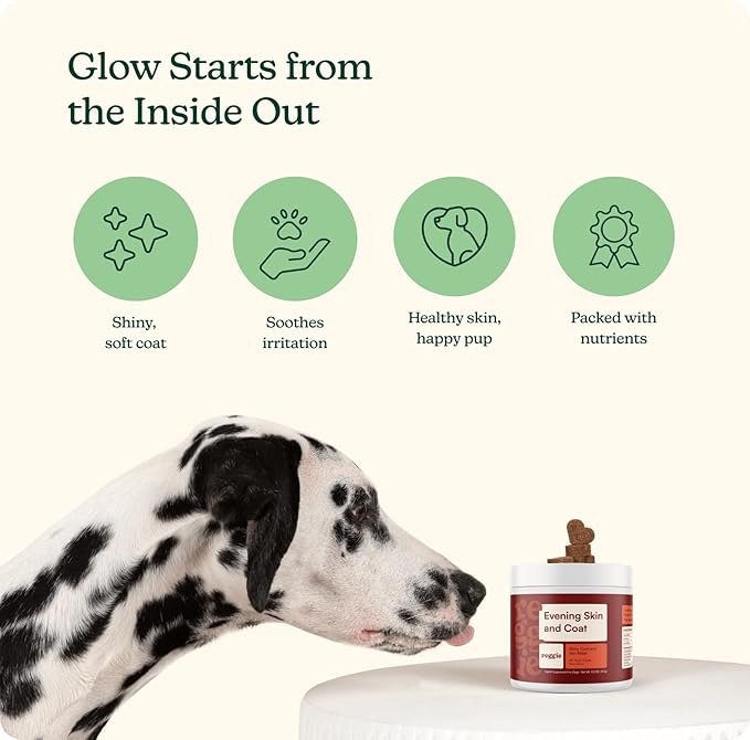 Reggie Skin & Coat Supplements for Dogs | Omega-3 Fish Oil & Vitamin E for Itchy Skin Relief, Shedding & Shiny Coat | Natural Dog Skin & Coat Chews | Vet-Approved & Made in USA | 60 Soft Chews