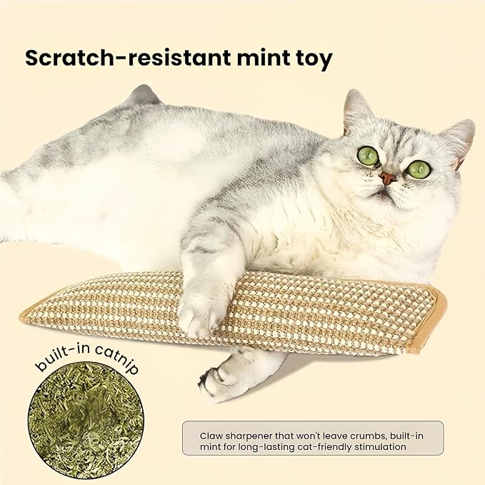 Interactive Catnip Chew Toy, Interactive Catnip Pillow with Soft Sisal Pad for Cats, Bite Resistant Kitten Teething Toys (Small,Mint Pillow + Pad)