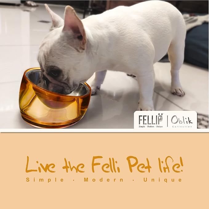Felli Pet Oblik Acrylic Raised Dog Food Water Bowl Stainless Steel Slanted Oval Dish for Short Leg Puppy & Small Medium Pet, Elevated Tilted Metal Feeder(Gold, 1.5 Cups Oval Dish)