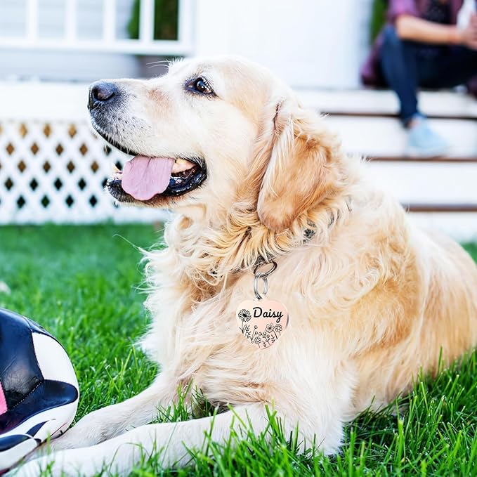 Personalized Dog Tags, Stainless Steel Pet Tags Personalized Cat, Collar Charm Engraved on Both Sides, up to 4 Lines of Custom Text, Multiple Patterns Colors Size Options (Daisy, Small)