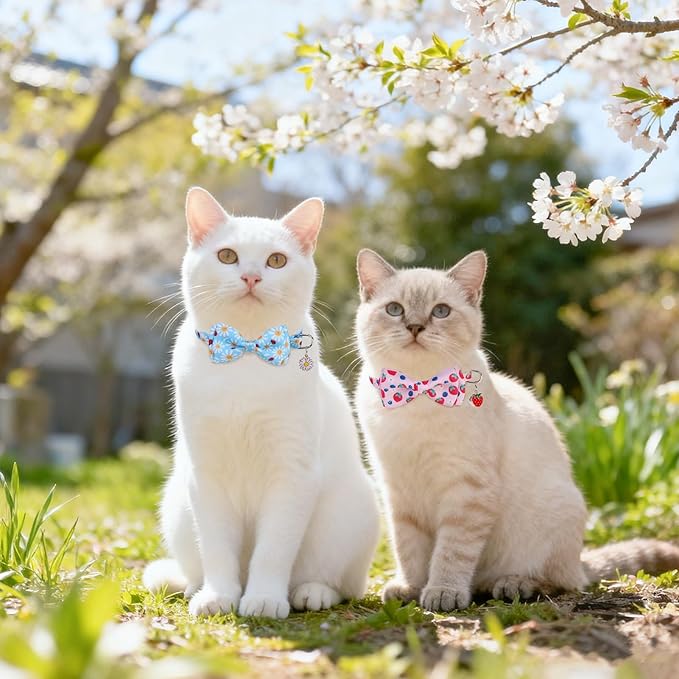 SCENEREAL Breakaway Cat Collar with Bell, 2 Pack Safety Adjustable Cat Collars with Pendant, Pink Personalised Puppy Kitten Collar with Bow for Spring Summer, Strawberry Daisy