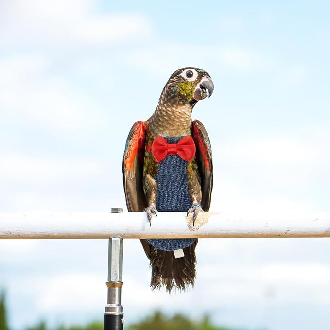 KOMBIUDA Bird Diaper Parrot Flight Suit Reusable Denim XL Size Protective Liner Clothes for African Grey and Cockatiel Outdoor Use