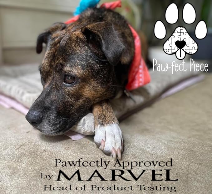 Paw-FECT Piece 8-in-1 Natural Dog Multivitamin Chews, Dog Supplement for Hips & Joints, Skin & Coats, Digestion, Immune Support, Omega 3, Anitoxidents, for All Ages and Breeds, Chicken-120 Count