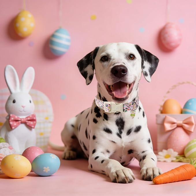 Maca Bates Easter Day Dog Collar Egg and Bunny Chicken Dogs Collars Soft Durable Cute Adjustable Pink Eggs Collor Easters Rabbit Gift for Small Boy Girl Male Female Puppy and Pet