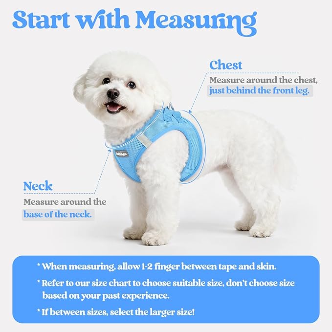 rabbitgoo Dog Harness Small Sized and Leash Set, Step in Soft Light Puppy Vest, Breathable Mesh Pet Harness, Reflective for Safe Easy Walking, Blue XXXS