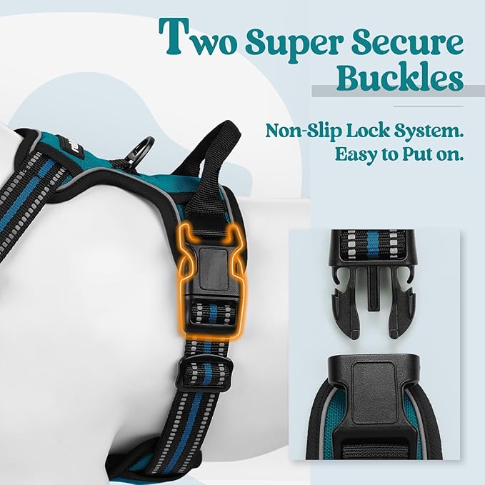 rabbitgoo Dog Harness No Pull with 2 Leash Clips, Adjustable Soft Padded, Reflective Oxford No Choke Pet Vest with Easy Control Handle for Large Dogs, Blue Coral, XL