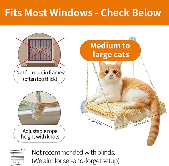 Cat Window Perch, Heavy Duty 20KG/44LB Suction Cup Hammock Bed with Soft Cushion, Secure & Stable Window Mount for Lazy Time, Bird Watching, Safe for Large Cats, 18.9"x14.5" (Little Bear)