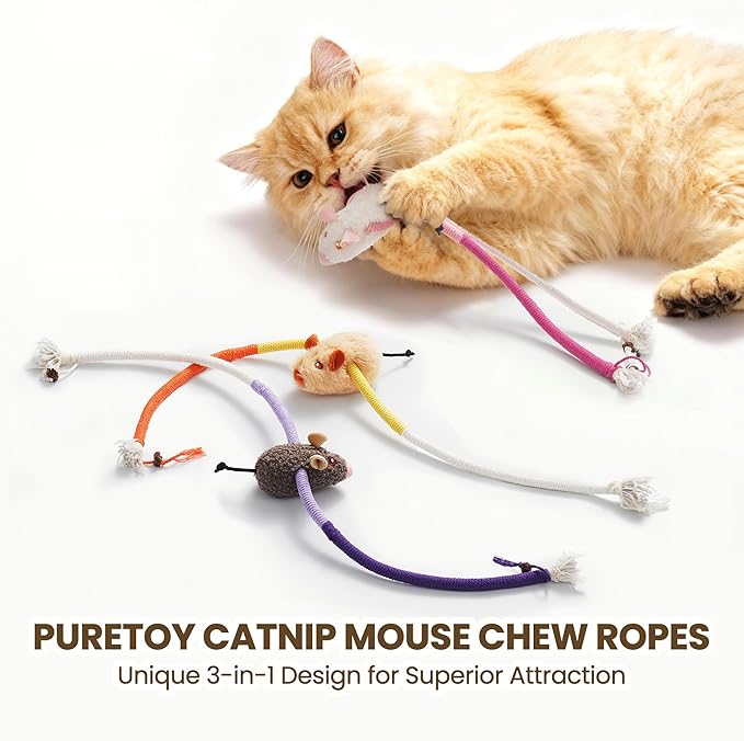 Cat Chew Ropes with Catnip Mouse, 3Pcs Cat Chew Toys for Large Cats Enrichment, 3-in-1 Catnip Toys Mouse & Strong Braided Ropes & Gall Fruits, Cats Teething Toys