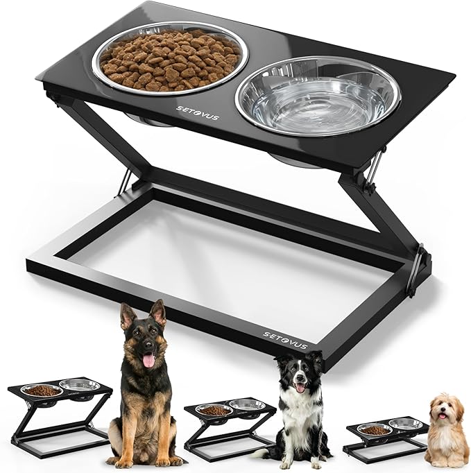 Elevated Dog Bowls, Adjustable Raised Dog Bowl Stand with 2 Stainless Steel Food Bowls 20°Tilted Water Bowls for Small Sized Dogs and Cats (Black, Small)