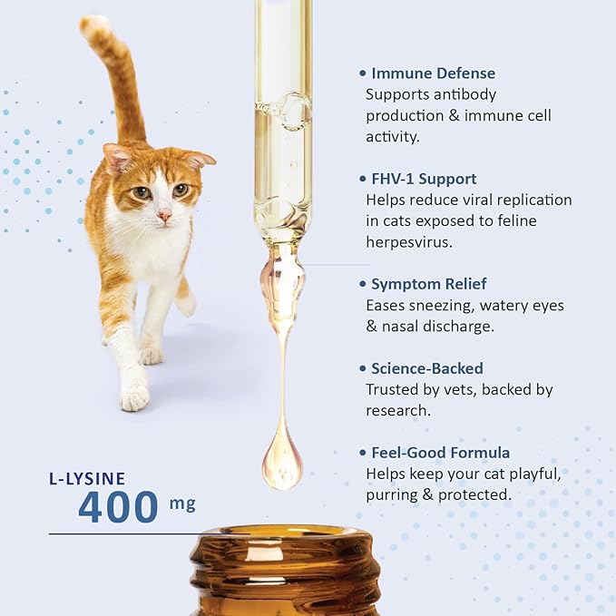 L-Lysine Concentrate for Cats – 2 oz Immune & Respiratory Support Supplement with DMG & Taurine – Helps Relieve Sneezing, Runny Nose, Congestion, Watery Eyes, FHV-1 Symptoms – Made in USA