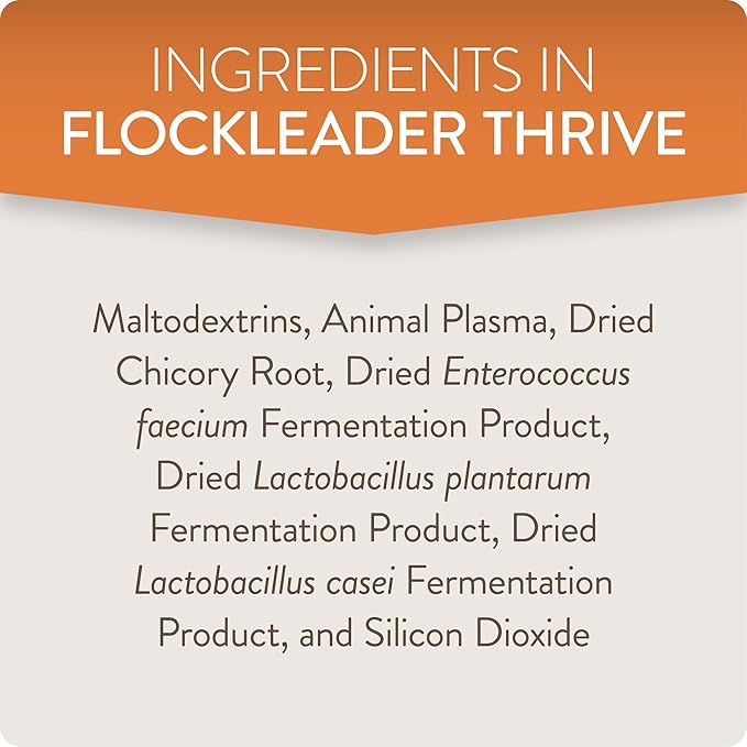 FlockLeader Thrive, Daily Probiotic & Prebiotic Poultry Supplement for Chickens 8+ Weeks Old, 8 oz