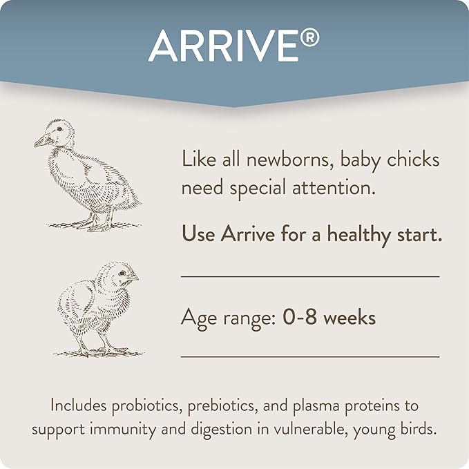 FlockLeader Arrive, Daily Probiotic & Prebiotic Poultry Supplement for Young Chickens 0-8 Weeks Old, 8 oz