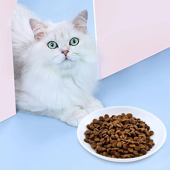 Cute Fish Bone Design Cat Bowls - Wide & Shallow Ceramic Feeding Dishes for Wet & Dry Food, Kittens to Cats