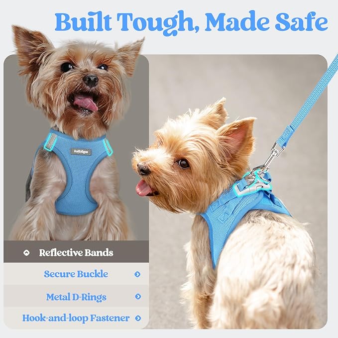 rabbitgoo Dog Harness Medium Sized and Leash Set, Step in Soft Light Puppy Vest, Breathable Mesh Pet Harness, Reflective for Safe Easy Walking, Blue XXL
