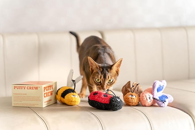 Interactive Catnip Cat Plush Toy, Insect Theme, 5'', for All Breed Size Cats (Cockroach)
