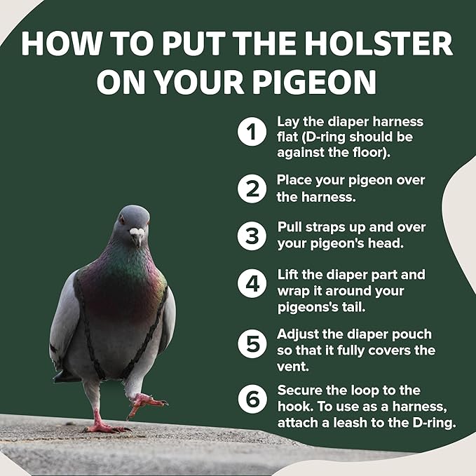 Hen Holster Premium Starter Kit - Bird Diaper, Wrap Around for Larger Pigeons, Small Breed Hens & Roosters - Leak-Proof, Comfortable Bird Harness with Sewn-in Liner & Hook & Loop Closure - XS, Green