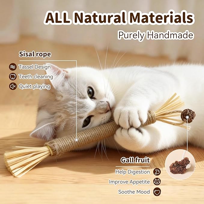 Toys for Indoor Cats Silvervine Sticks 3Pcs with Gall Fruit, Cat Chew Ropes 1Pcs, Interactive Catnip Toy for Kittens Dental Care Teeth Cleaning Orange