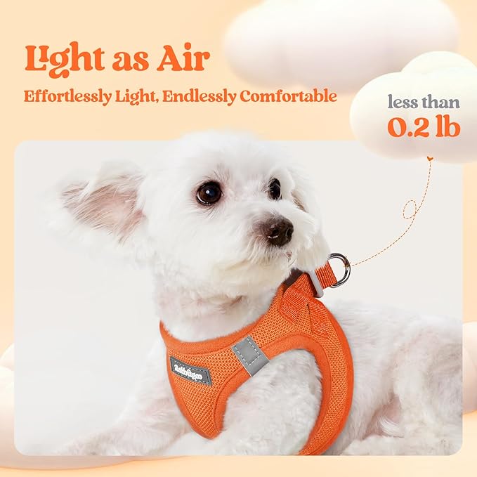 rabbitgoo Dog Harness Small Sized and Leash Set, Step in Soft Light Puppy Vest, Breathable Mesh Pet Harness, Reflective for Safe Easy Walking, Orange XS
