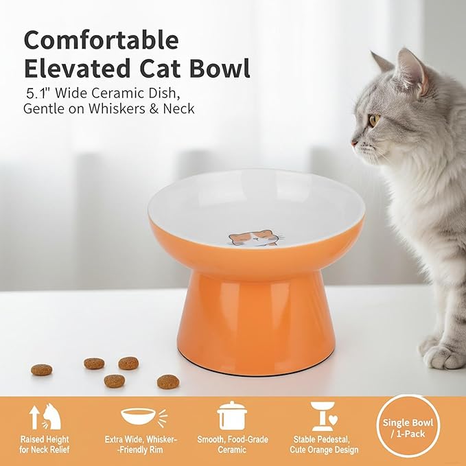 Ceramic Raised Cat Bowl, Elevated Cat Food Bowl with Non-Slip Base,Whisker Friendly Shallow Feeder for Dry & Wet Food, Dishwasher Safe, Anti Vomiting (Orange)
