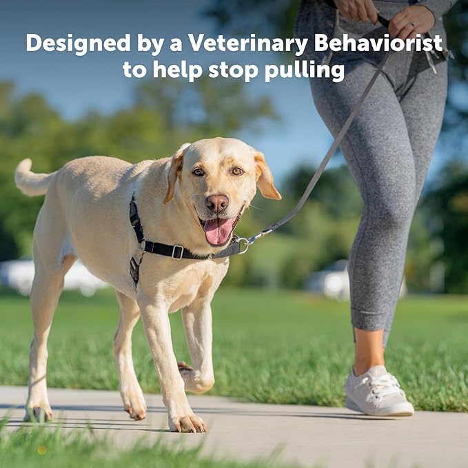PetSafe Easy Walk Harness for Dogs - Pull-Free Walks - Patented Martingale Loop Design - Front Chest Leash Attachment - Comfort Straps - Breathable Harness Design - Medium/Large, Apple Green/Gray