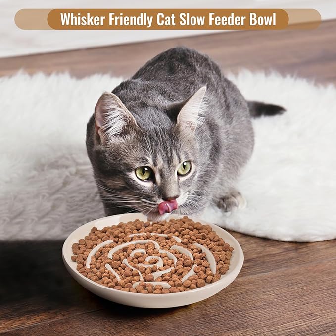 Slow Feeder Cat Bowl Set of 2, Ceramic Slow Feeding Cats Bowl Whisker Friendly, Anti Vomiting Cat Feeder for Dry and Wet Food，Fun Maze Interactive Bloat Stop Puzzle Bowls for Healthy Eating Diet