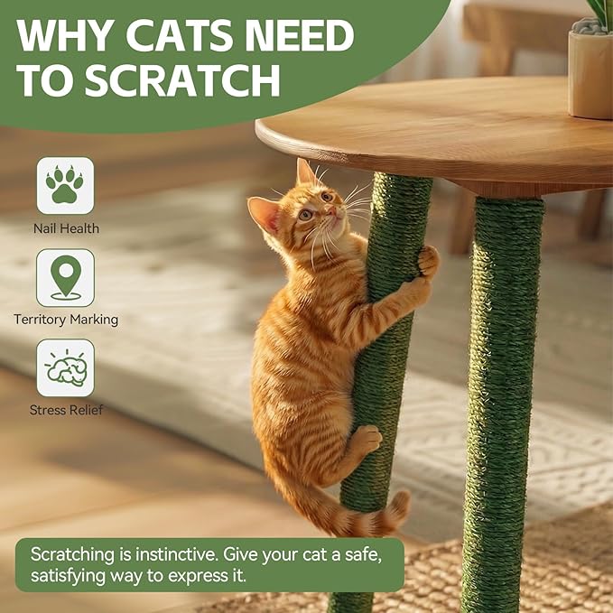 Green Natural Sisal Rope for Cat Scratcher Tree Thick 5-mm 1/5 Inch by 150 Feet, Cat Tower Climbing Twine for Cat Scratching Post Replacement, Scratch Post Repairing, Replace, Recovering and DIY
