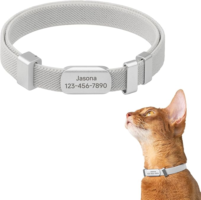 Engraved Pet ID Tag - Personalized Name Tag Engraved Cat Collar Charms, Aluminum Alloy Customized Cat Name Tag for Kitten Small Large Cats (Horizon-Glacier Silver S)