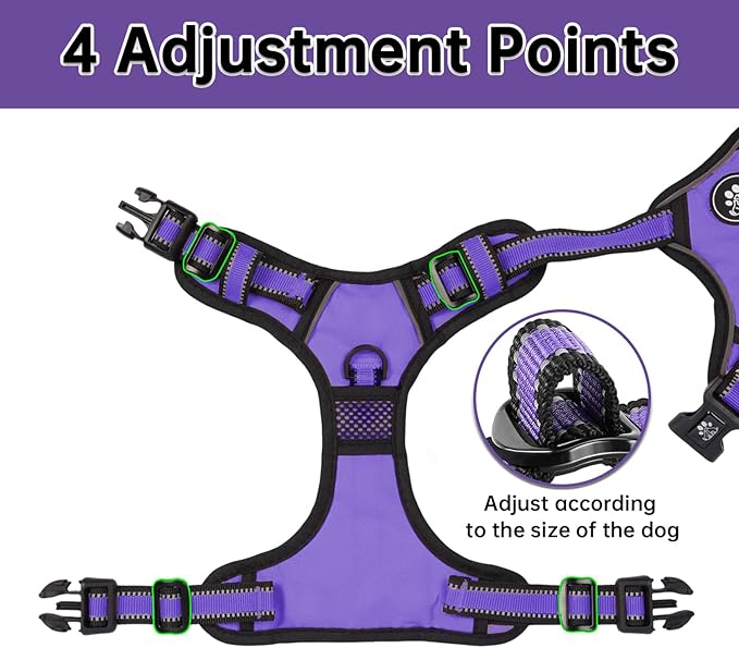 NESTROAD No Pull Dog Harness,Adjustable Oxford Dog Vest Harness with Leash,Reflective No-Choke Pet Harness with Easy Control Soft Handle for Large Dogs(Large,Purple)